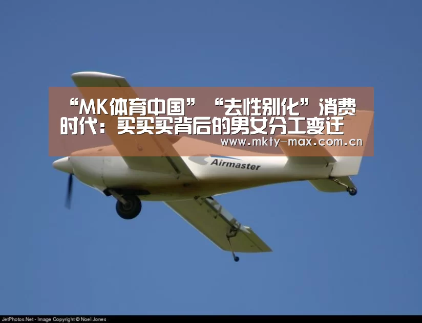 “MK体育中国”“去性别化”消费时代:买买买背后的男女分工变迁(图3) MK体育