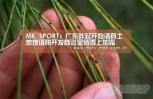MK SPORT:广东昨起开始清算土地增值税开发商资金链雪上加霜(图1) MK SPORT